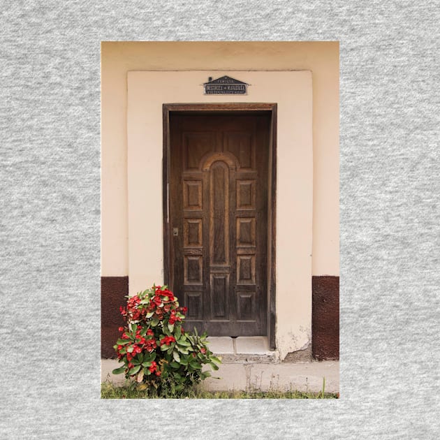 The Doors Of Las Flores - 2 © by PrinceJohn